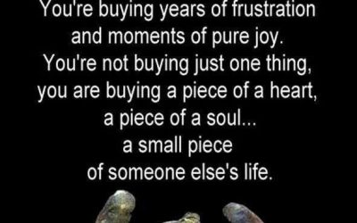 A piece of a soul…